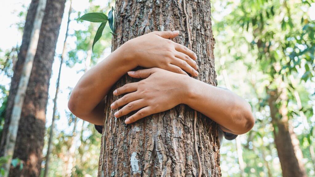 person hugging a tree