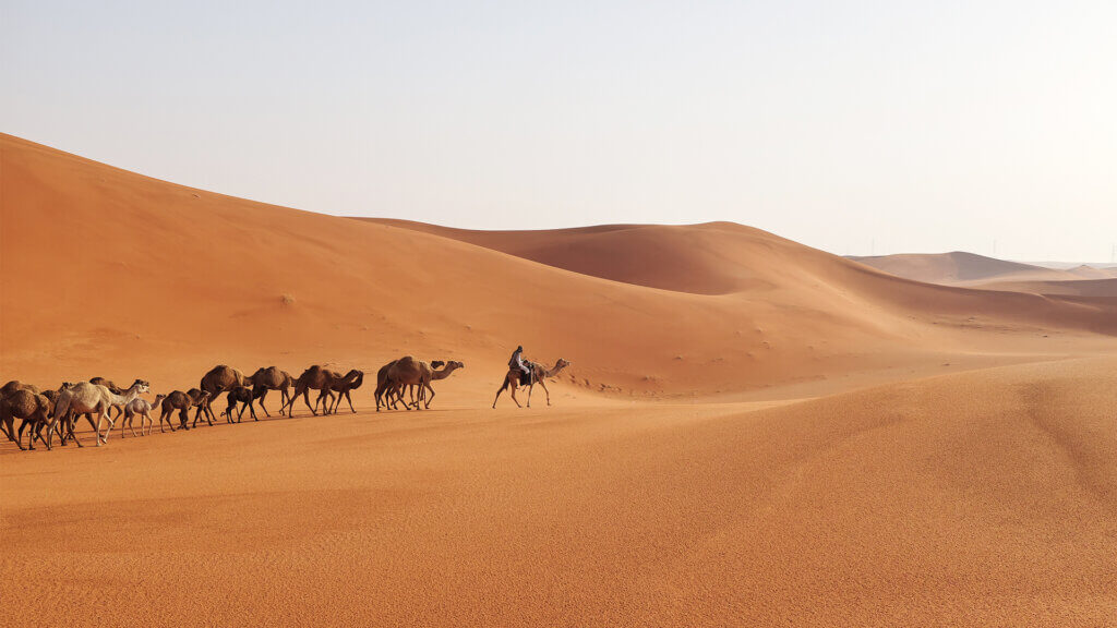 Post Thumbnail - Global Tourism Leaders Told of Saudi Arabia’s Unparalleled Ambition to Become One of the Top 5 Tourism Destinations in the World