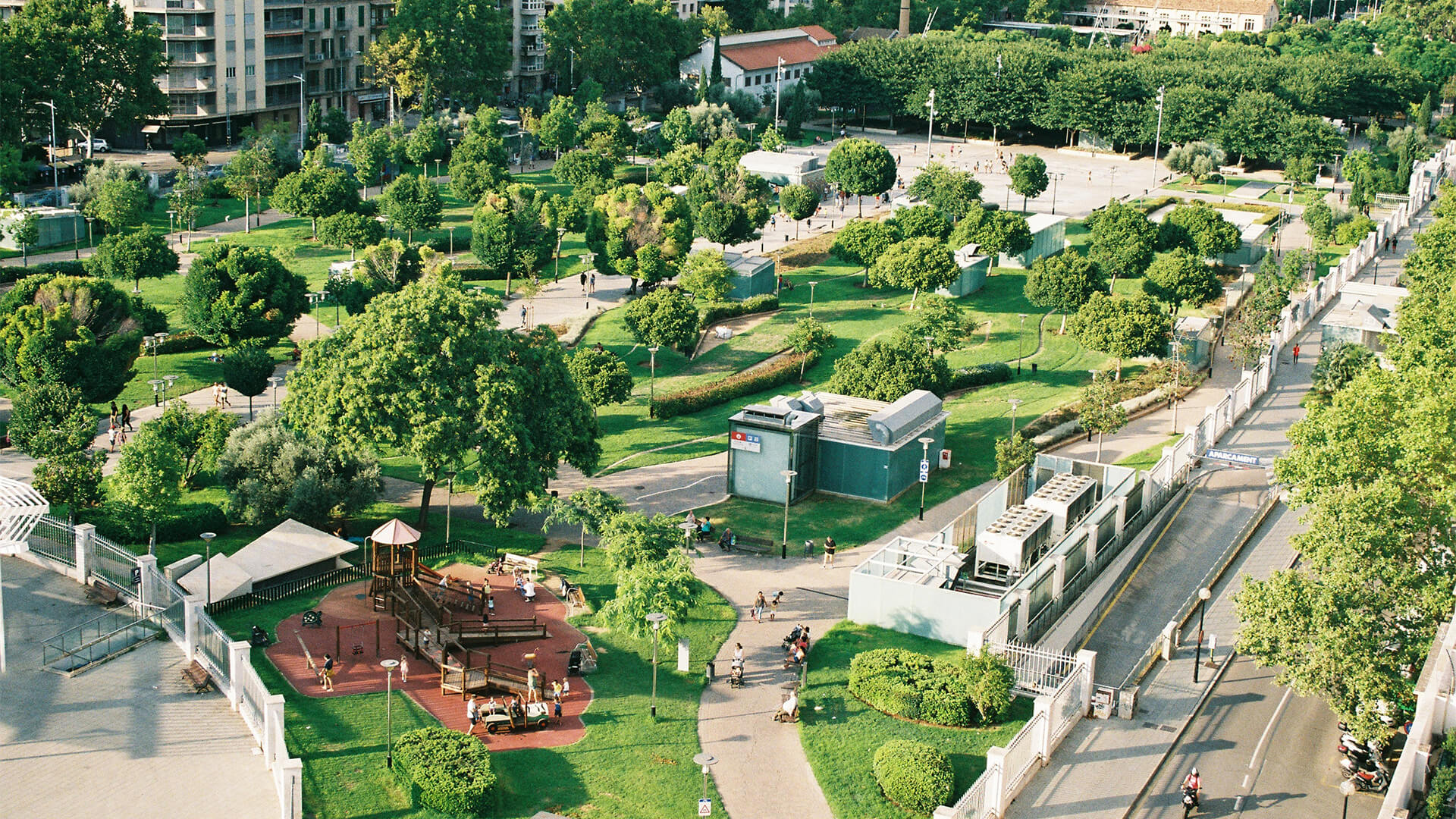 Green city with lots of trees and bushes