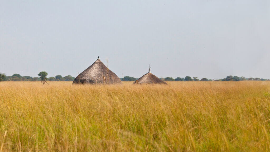 panorama of grassland of south sudan