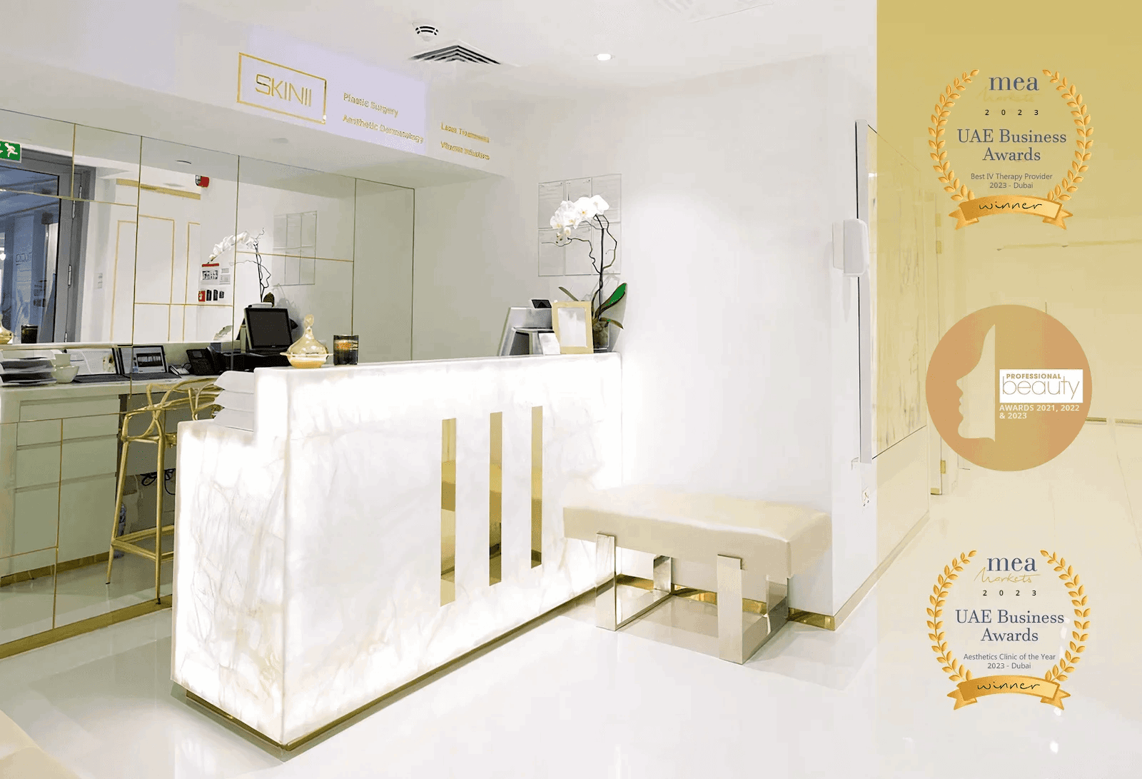 Skin111 2023 Winner UAE Business Awards MEA Markets Skin111 2023 Winner UAE Business Awards MEA Markets