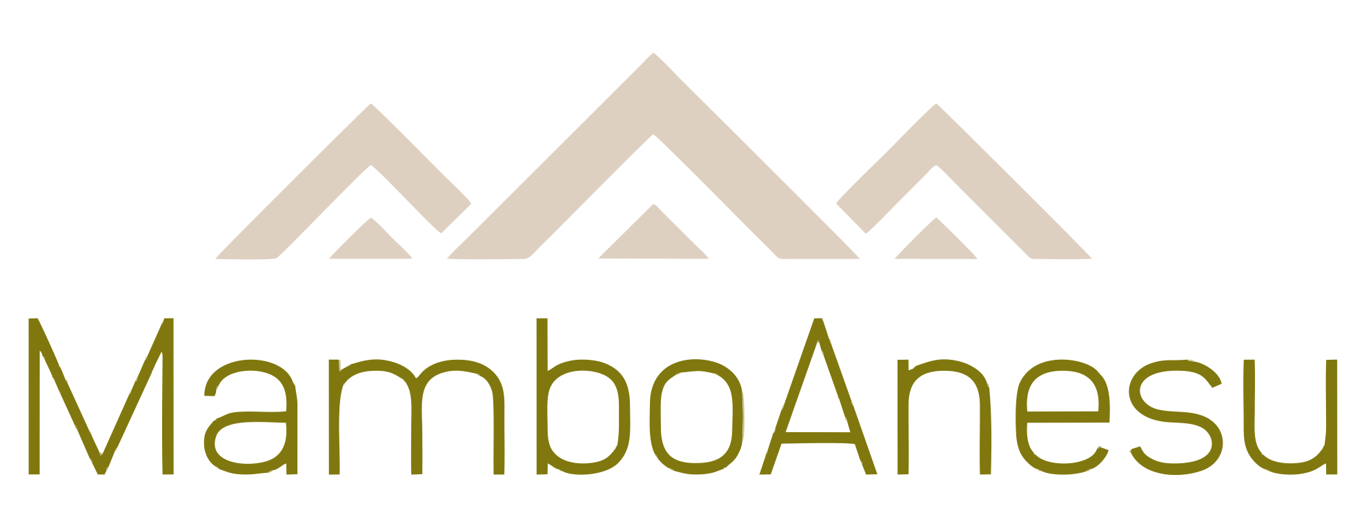Post Thumbnail - MamboAnesu Estates (Private) Limited