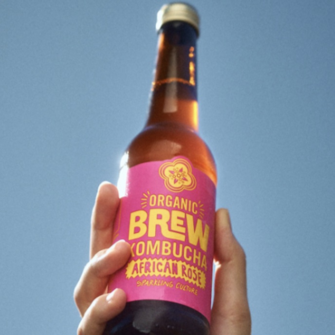 Post Thumbnail - Brew Kombucha