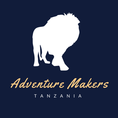 Post Thumbnail - Adventure Makers Tanzania