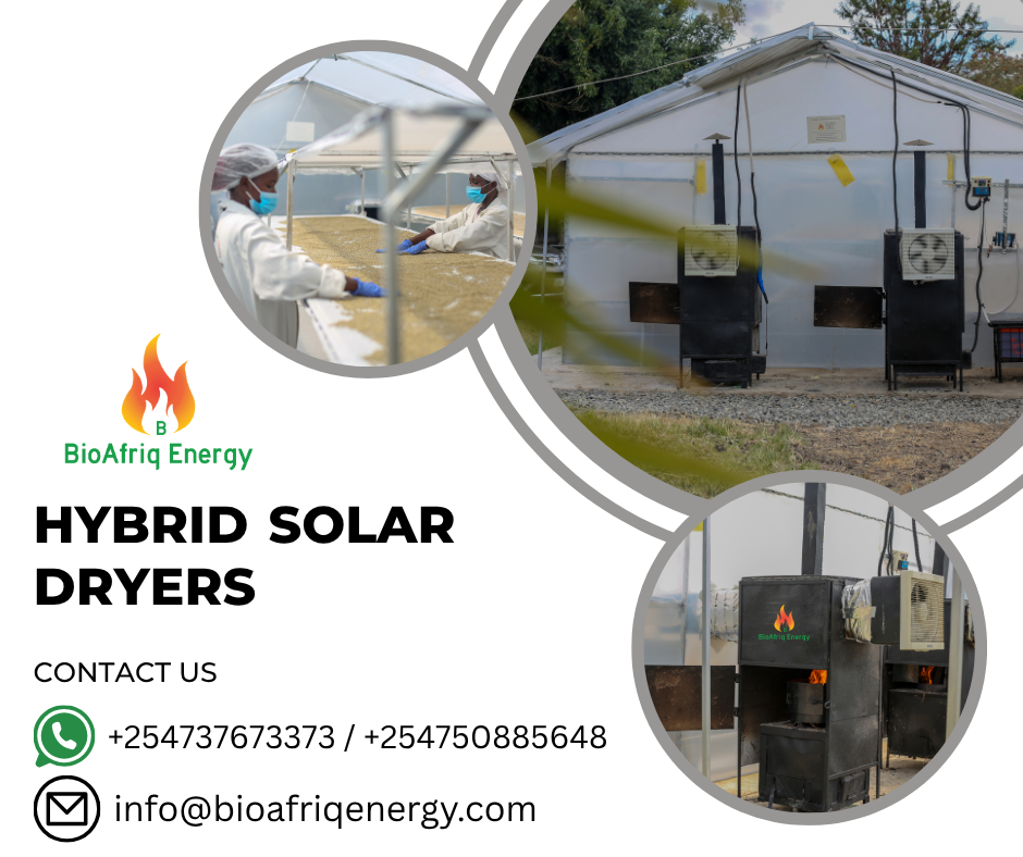 Post Thumbnail - BioAfriq Energy Limited