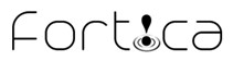 Winner small image - Fortica (Pty) Ltd