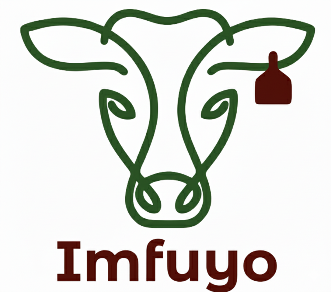 Winner small image - Imfuyo