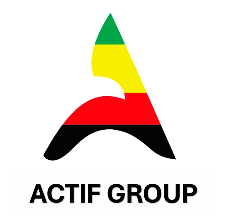 Winner small image - ACTIF FZE