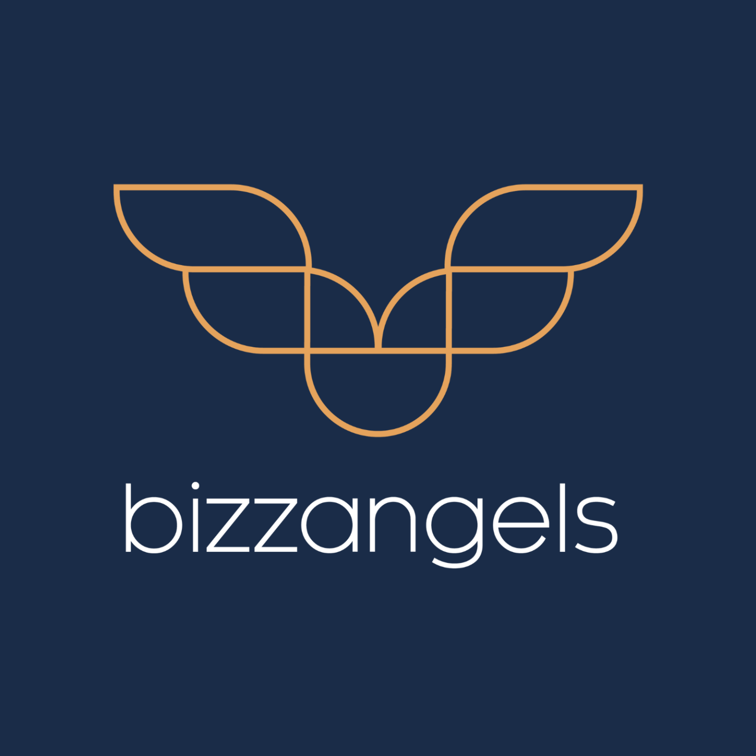 Winner small image - BizzAngels