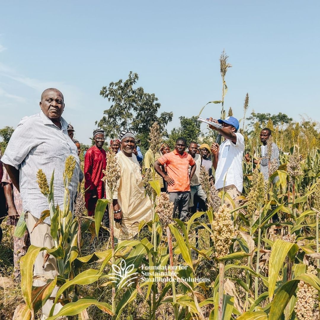 Winner uploaded image - Foundation for Sustainable Smallholder Solutions