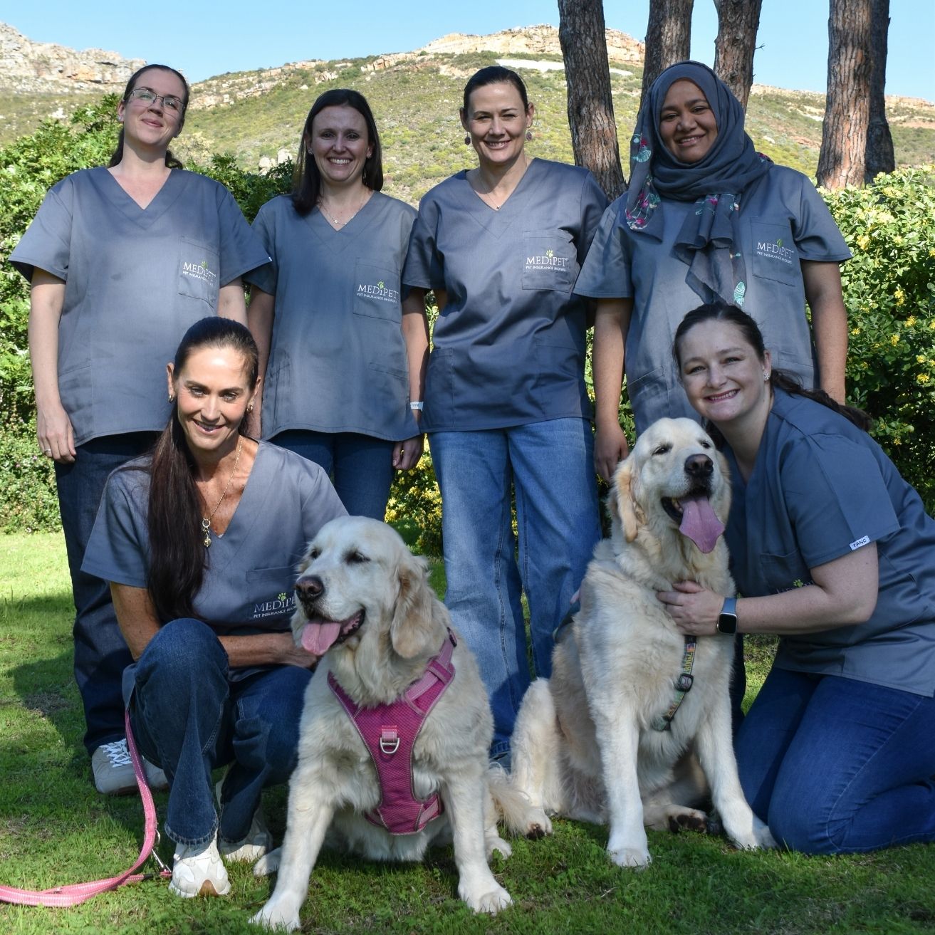 Winner small image - MediPet Animal Health Insurance Brokers (Pty) Ltd
