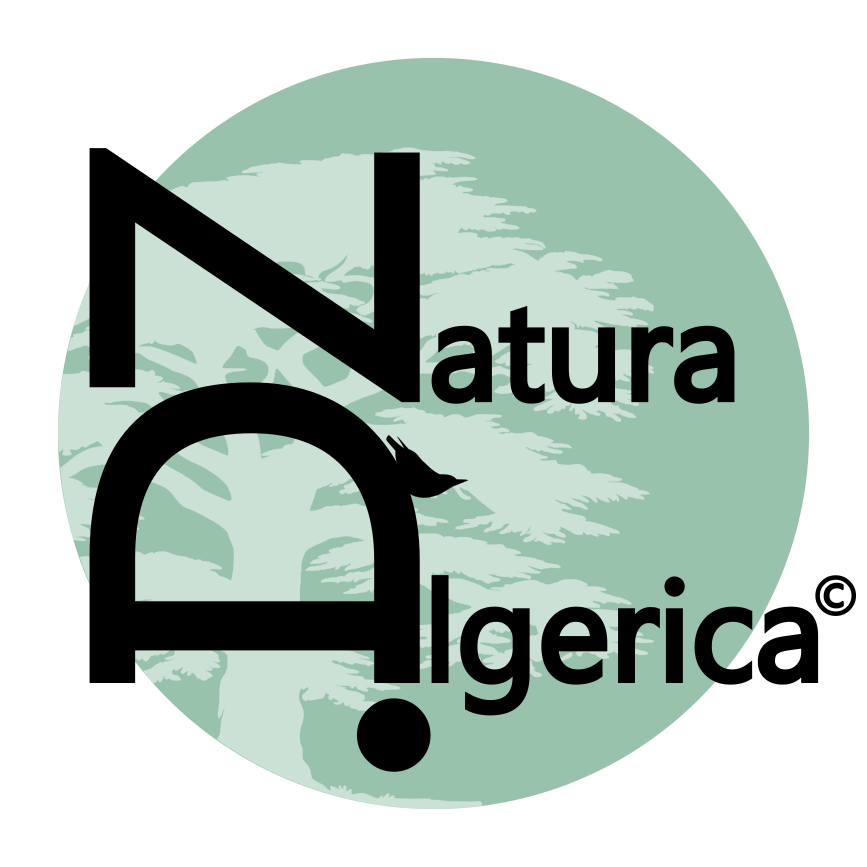Winner small image - Natura Algerica
