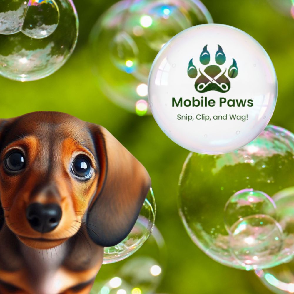 Winner small image - Mobile Paws