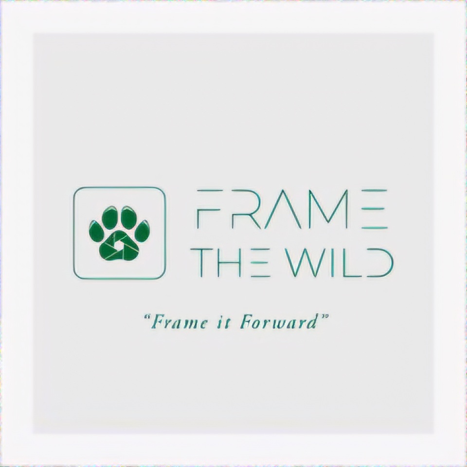 Winner small image - Frame the Wild